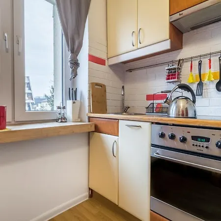 公寓 Bialy Mis Studio Centrum Zakopane 扎科帕内