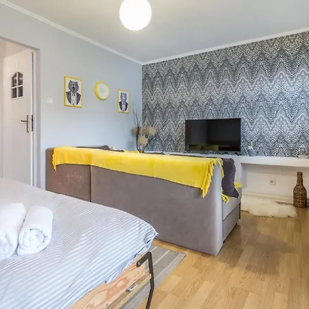 Bialy Mis Centrum Zakopane