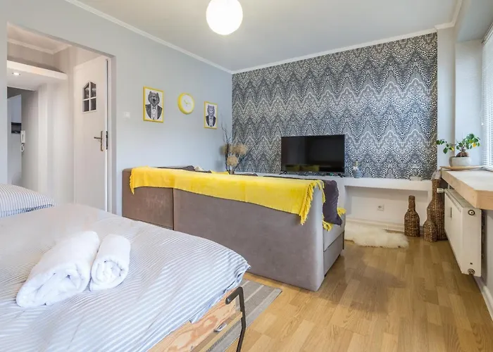 Bialy Mis Centrum Zakopane